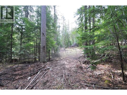 2835 Silver King Road, Nelson, BC 