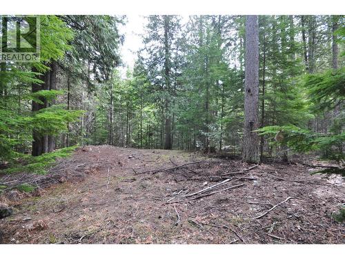 2835 Silver King Road, Nelson, BC 