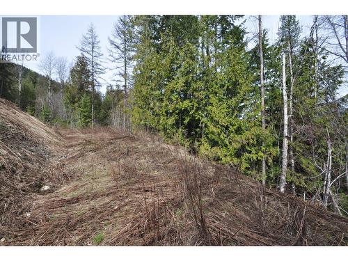 2835 Silver King Road, Nelson, BC 