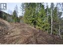 2835 Silver King Road, Nelson, BC 