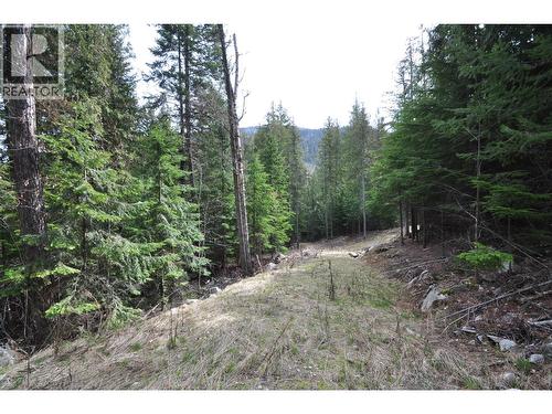 2835 Silver King Road, Nelson, BC 