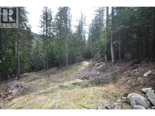 2835 Silver King Road, Nelson, BC 