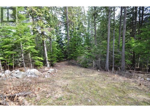 2835 Silver King Road, Nelson, BC 