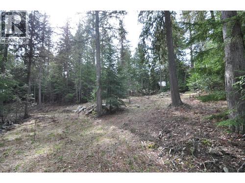 2835 Silver King Road, Nelson, BC 