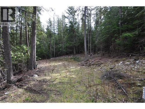 2835 Silver King Road, Nelson, BC 