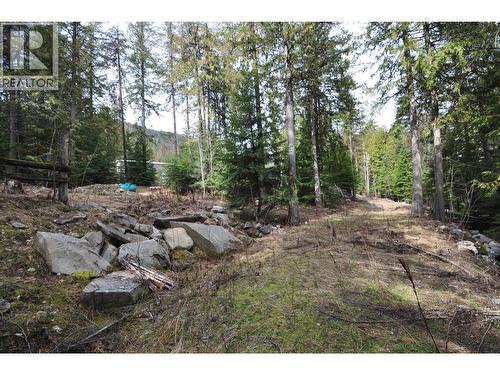 2835 Silver King Road, Nelson, BC 