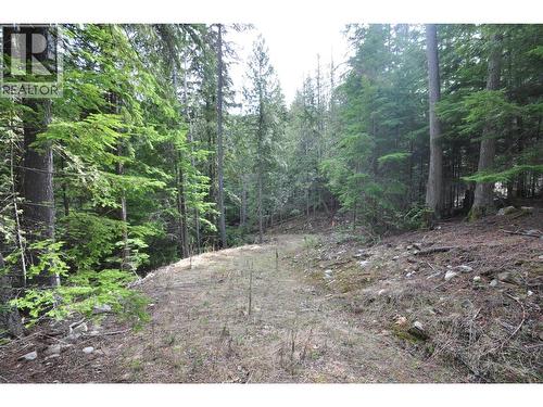 2835 Silver King Road, Nelson, BC 