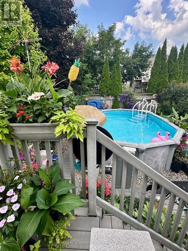 15 Gees Way, Cambridge, ON - Outdoor With Above Ground Pool