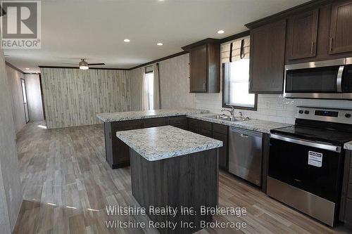 9 - 11981 Plank Rd (Tillsonburg) Road, Bayham, ON - Indoor Photo Showing Kitchen With Double Sink