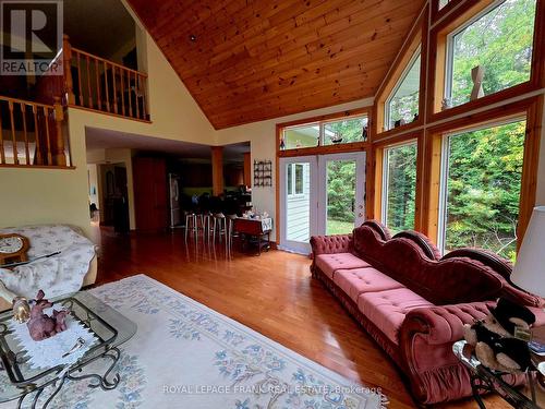 8847 Highway 28, North Kawartha, ON - Indoor Photo Showing Living Room