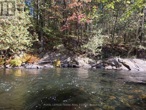 8847 Highway 28, North Kawartha, ON - Outdoor With Body Of Water With View