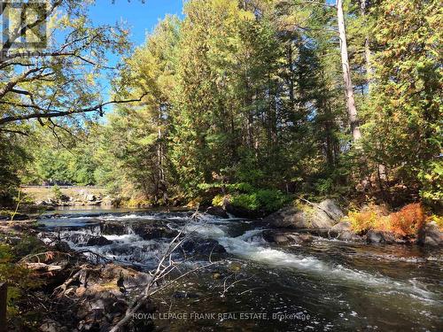 8847 Highway 28, North Kawartha, ON - Outdoor With View