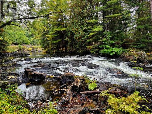 8847 Highway 28, North Kawartha, ON - Outdoor