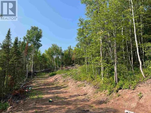 131 Second Line Rd, Sault Ste. Marie, ON 