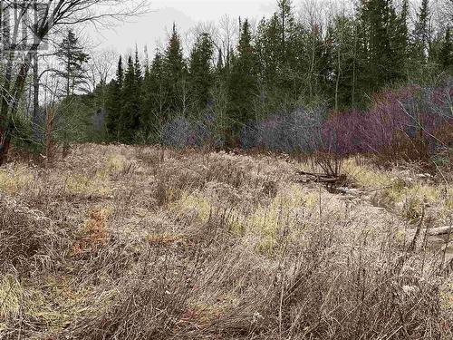 Lot 2 & 3 Con Nelson Dr, St. Joseph Island, ON 