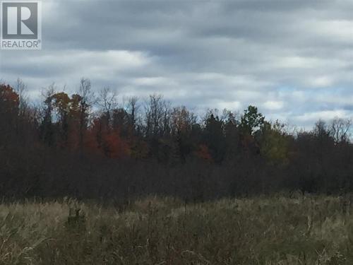 Lot 2 & 3 Con Nelson Dr, St. Joseph Island, ON 