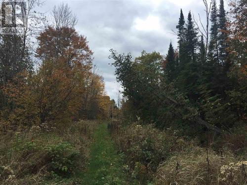 Lot 2 & 3 Con Nelson Dr, St. Joseph Island, ON 
