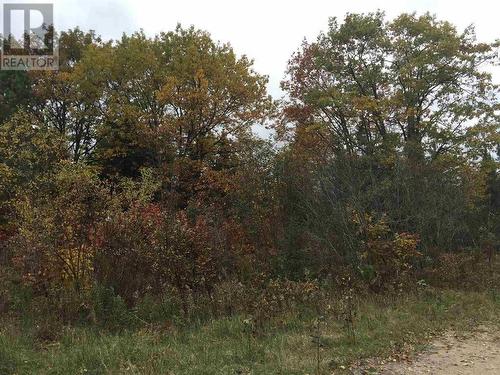 Lot 2 & 3 Con Nelson Dr, St. Joseph Island, ON 