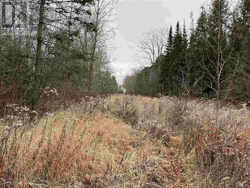 Lot 2 & 3 Con Nelson Dr, St. Joseph Island, ON 