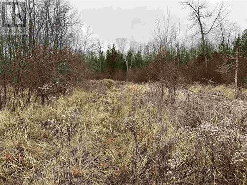 Lot 2 & 3 Con Nelson Dr, St. Joseph Island, ON 