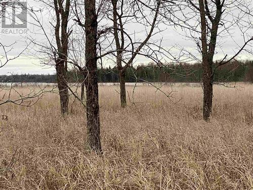 Lot 2 & 3 Con Nelson Dr, St. Joseph Island, ON 