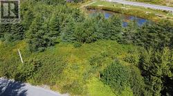 4-22 Penney's Hill Road  Victoria, NL A0A 4G0