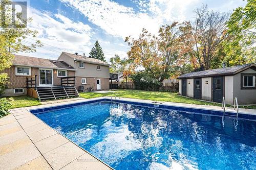 262 Duckworth Street, Barrie, ON - Outdoor With In Ground Pool With Backyard