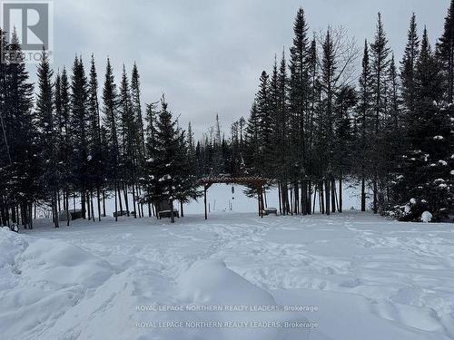1403 Grindstone Road, Black River-Matheson (Matheson), ON - Outdoor With View