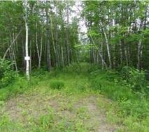 55 GRAND PINES Drive  Alexander, MB R0E 2A0