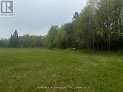 1995 BEAR CAVE ROAD  Muskoka Lakes, ON P0C 1J0