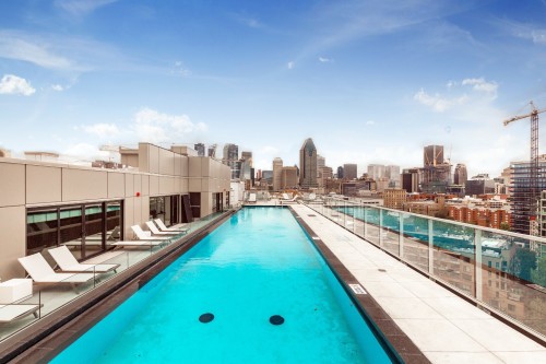 Pool - 1205-1375 Rue Des Bassins, Montréal (Le Sud-Ouest), QC - Outdoor With In Ground Pool With Backyard