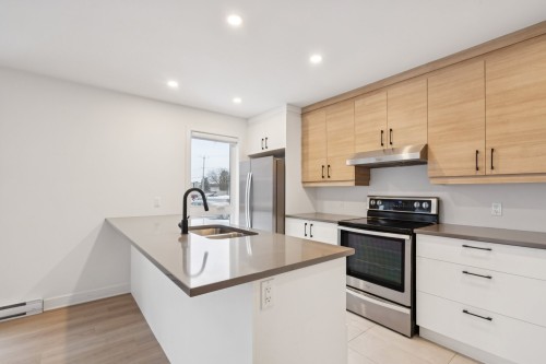 Cuisine - 105-85 Rue Lachapelle E., Saint-Rémi, QC - Indoor Photo Showing Kitchen With Double Sink