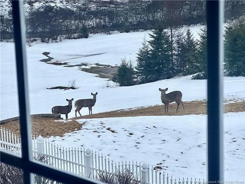 6865 Route 134, Mcintosh Hill, NB 