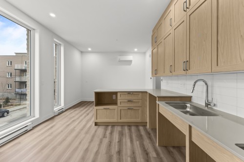 Kitchen - 208-3328 Rue Masson, Montréal (Rosemont/La Petite-Patrie), QC - Indoor Photo Showing Kitchen