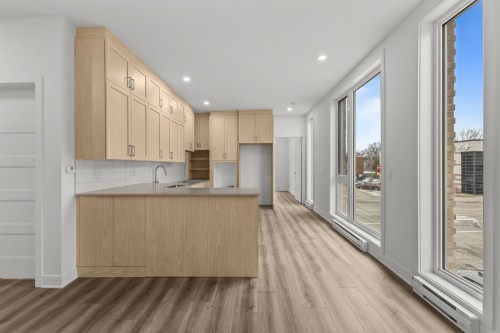 Kitchen - 208-3328 Rue Masson, Montréal (Rosemont/La Petite-Patrie), QC - Indoor Photo Showing Other Room