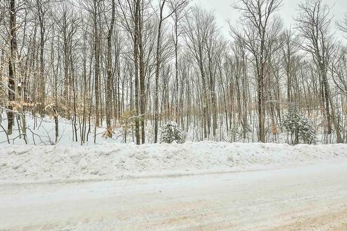 Terre/Terrain - 6 Ch. Lavell, Mayo, QC 