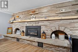 Fireplace in basement - 