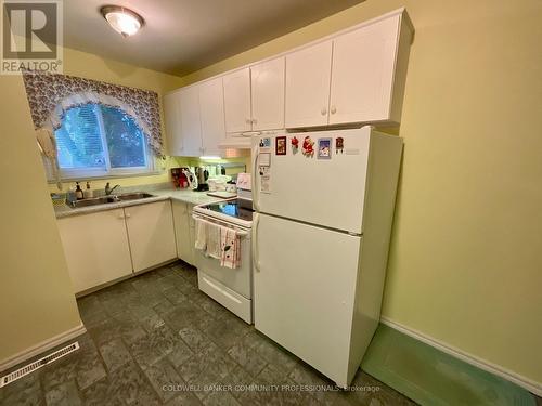 4 Rosanne Crescent, Hamilton, ON - Indoor Photo Showing Kitchen With Double Sink