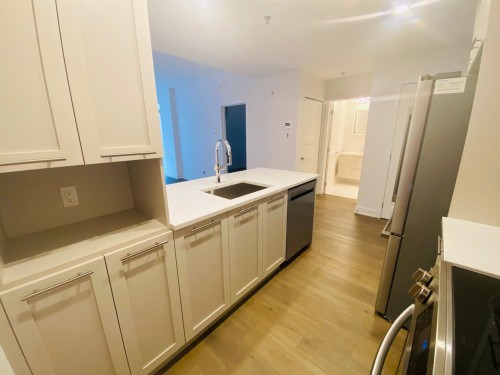 Cuisine - 306-205 Ch. Bates, Mont-Royal, QC - Indoor Photo Showing Kitchen