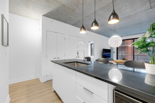 Kitchen - 1210-1228 Rue Des Bassins, Montréal (Le Sud-Ouest), QC - Indoor Photo Showing Kitchen With Upgraded Kitchen