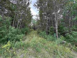 905 Frog Creek Road Alberton, ON P9A 3M2