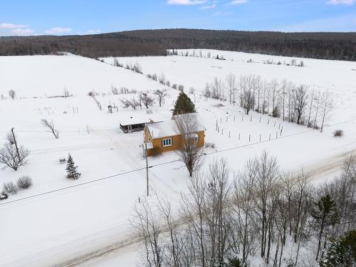 Photo aérienne - 231 9E-Et-10E Rang, Saint-Camille, QC - Outdoor With View