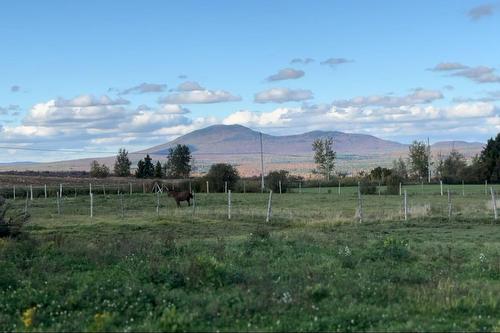 Terre/Terrain - 231 9E-Et-10E Rang, Saint-Camille, QC - Outdoor With View