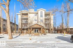 #202 10524 77 AV NW  Edmonton, AB T6E 1N1