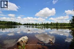 1137 118 HIGHWAY  Bracebridge, ON P1L 0K3