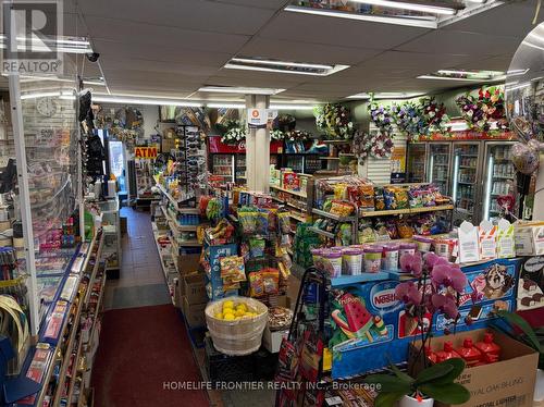 237 Park Lawn Road, Toronto, ON 