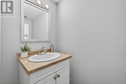 Lower Level Bathroom - 