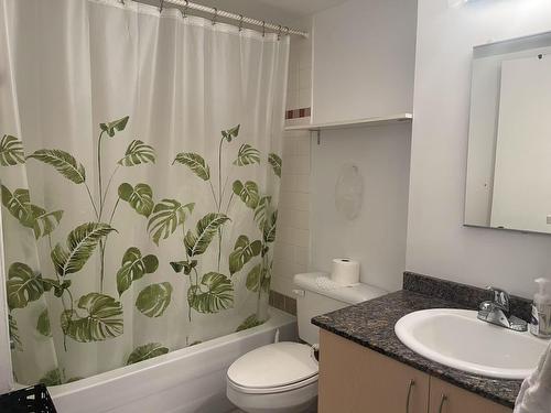 Bathroom - 158-98 Rue Charlotte, Montréal (Ville-Marie), QC - Indoor Photo Showing Bathroom