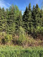 Rg St-Adolphe  Saint-Alexandre-De-Kamouraska, QC G0L 2G0