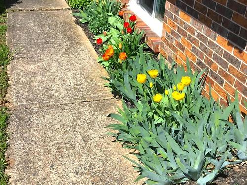 89 Apple Tree Lane, Kentville, NS 